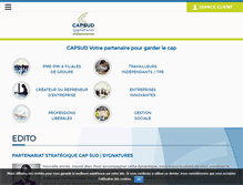 Tablet Screenshot of capsudaudit.com